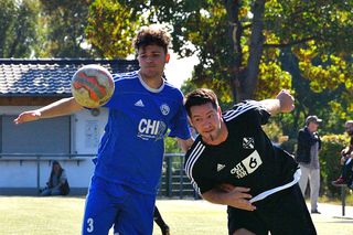 DMV_0362